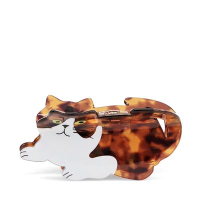 Haar klem · Kat