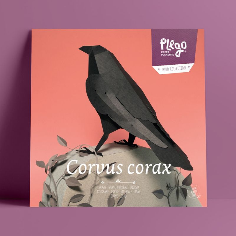 Plego · papieren raaf 'Corvus corax'