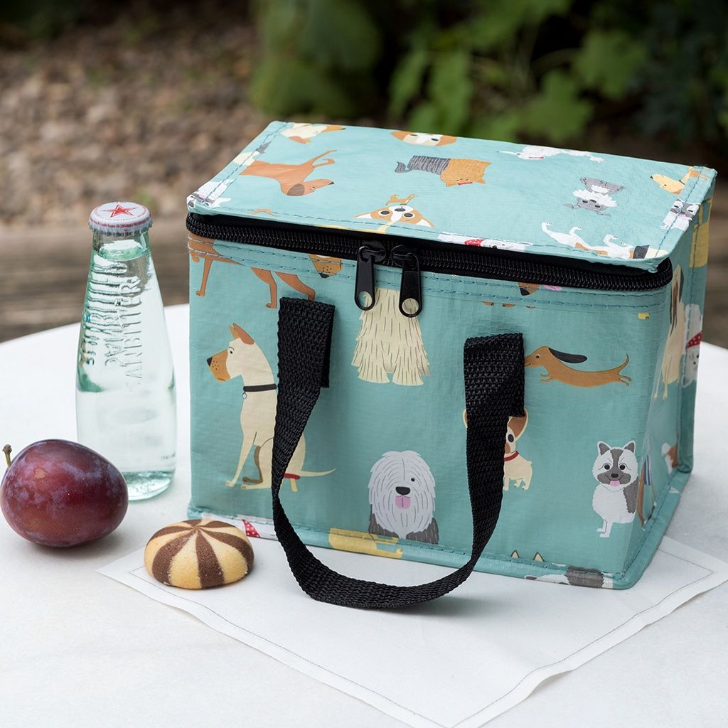 Rex · Lunchtas - Beste van de show honden