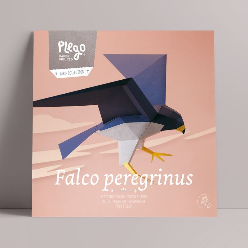 Plego · papieren Slechtvalk 'Falco Peregrinus'