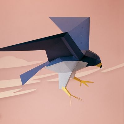 Plego · papieren Slechtvalk &#39;Falco Peregrinus&#39;