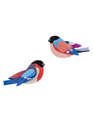Studio ROOF · Finches