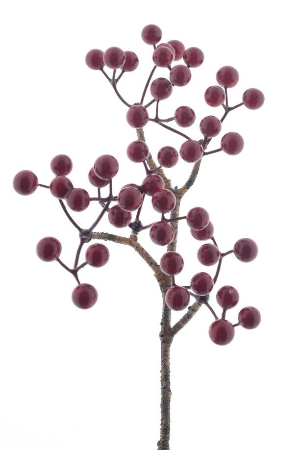 Zijden bloem &#39;Berry pick Aulac&#39; · Red