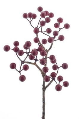 Zijden bloem &#39;Berry pick Aulac&#39; · Red