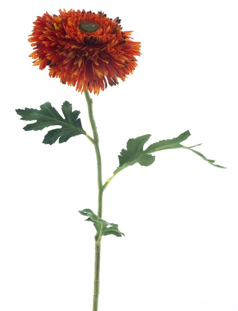 Zijden bloem &#39;Wild Gerbera&#39; · Orange