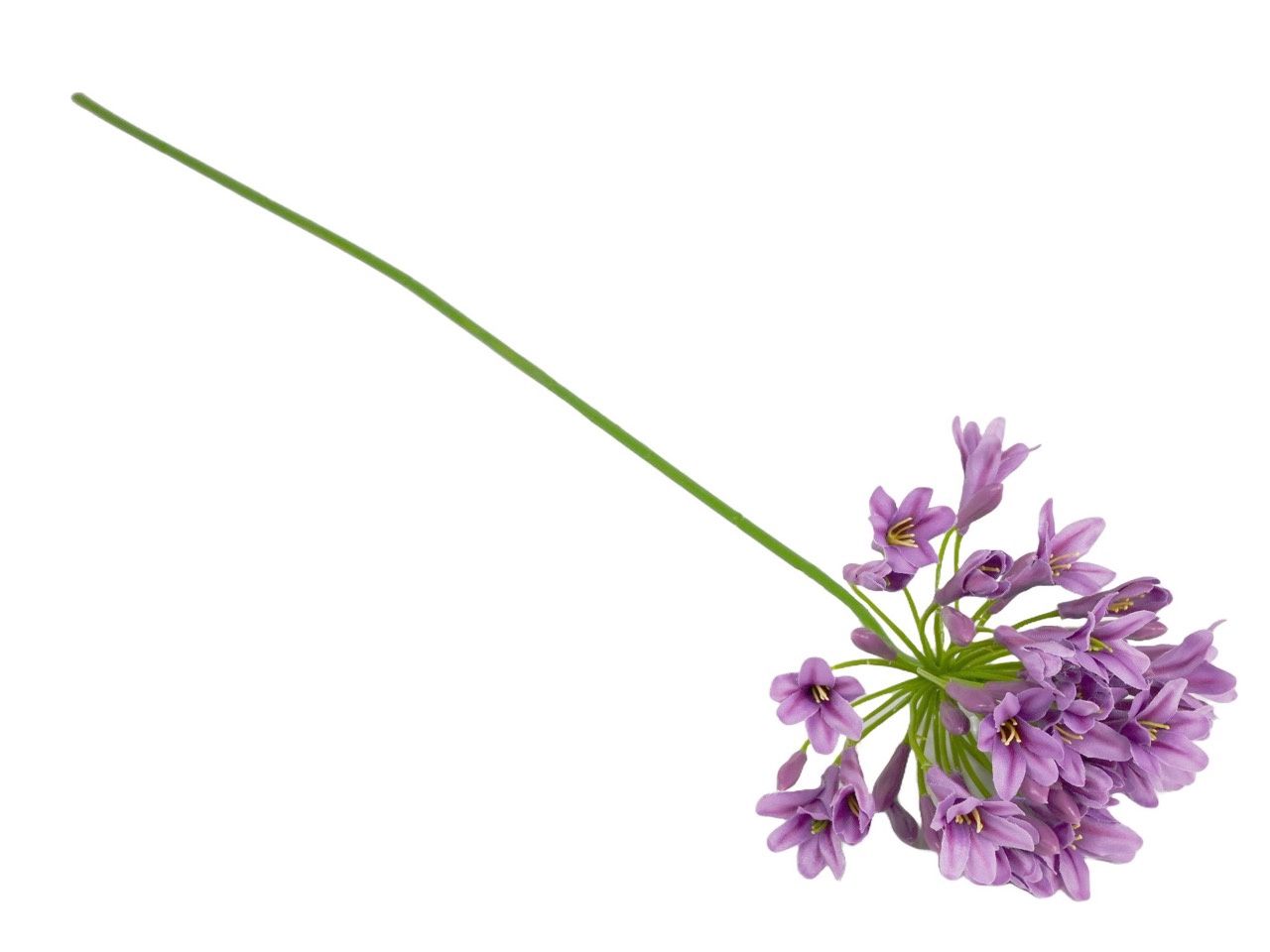 Zijden bloem &#39;Agapanthus&#39; · Lila