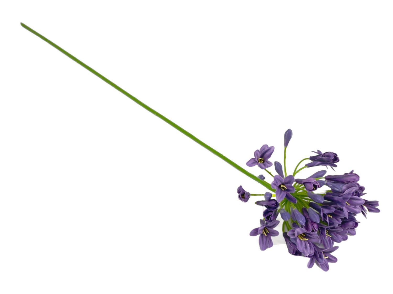 Zijden bloem &#39;Agapanthus&#39; · Purple
