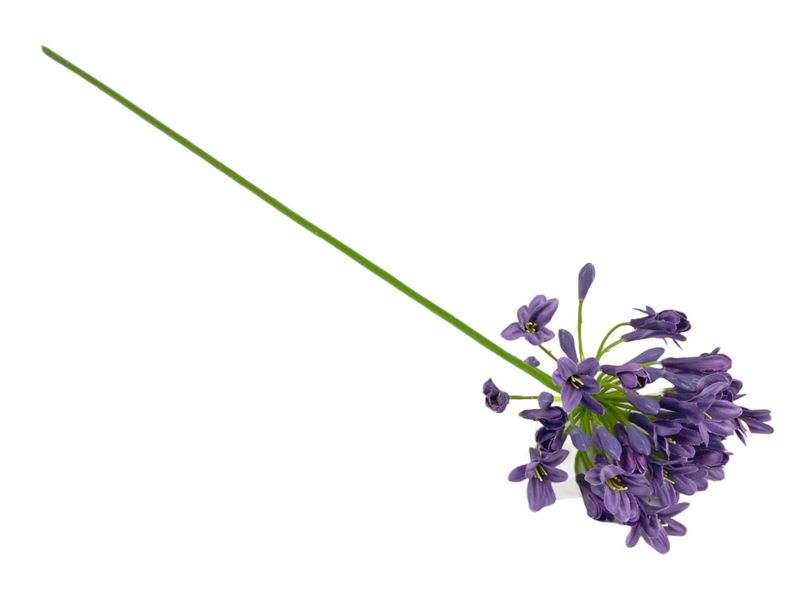 Zijden bloem 'Agapanthus' · Purple