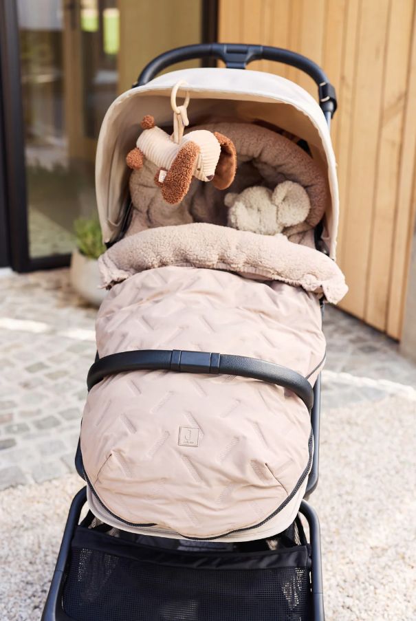 Wagenhanger - Diego dog