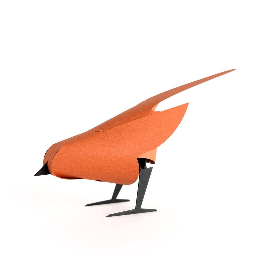 Plego · papieren vogel &#39;Argilia Avis&#39;