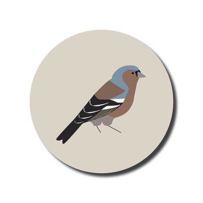 Wandcirkel vogels · Vink