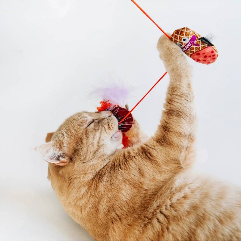 Katten