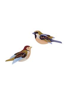 Studio ROOF · Sparrows