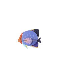 Studio ROOF · Butterflyfish