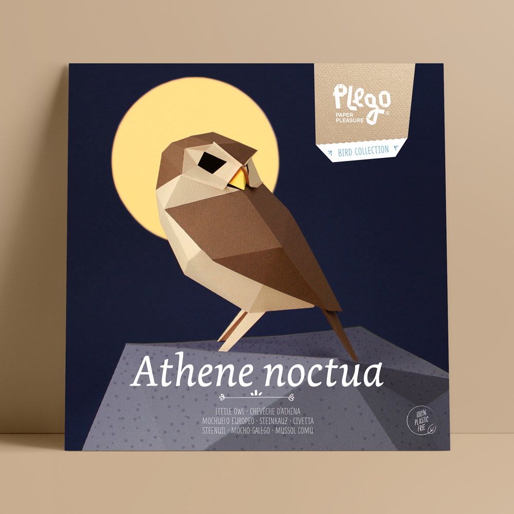 Plego · papieren Steenuil "Athene noctuna"