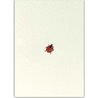 Postkaart · Lieveheersbeestje