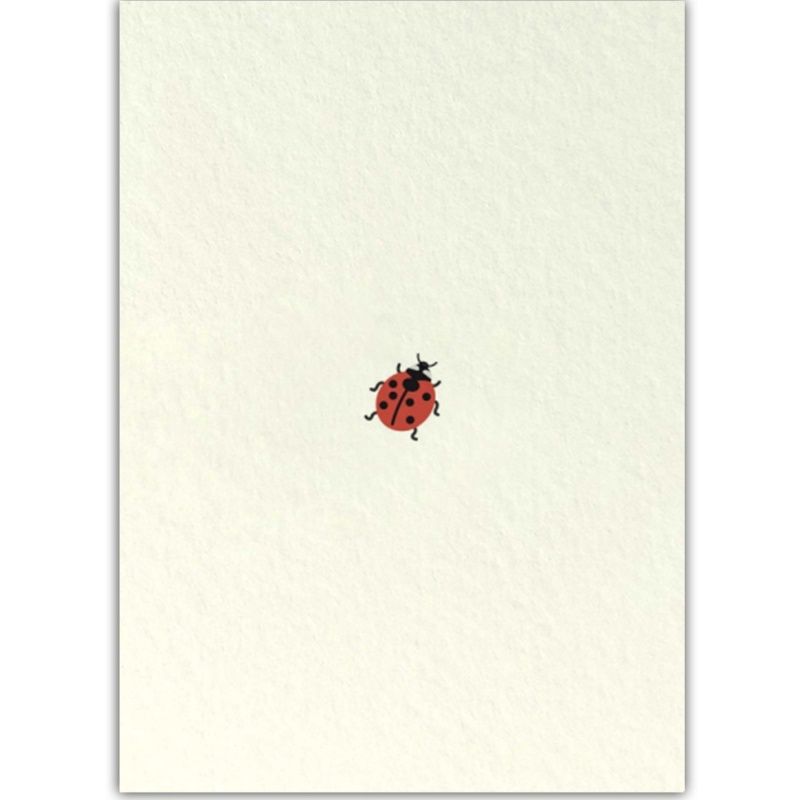 Postkaart · Lieveheersbeestje