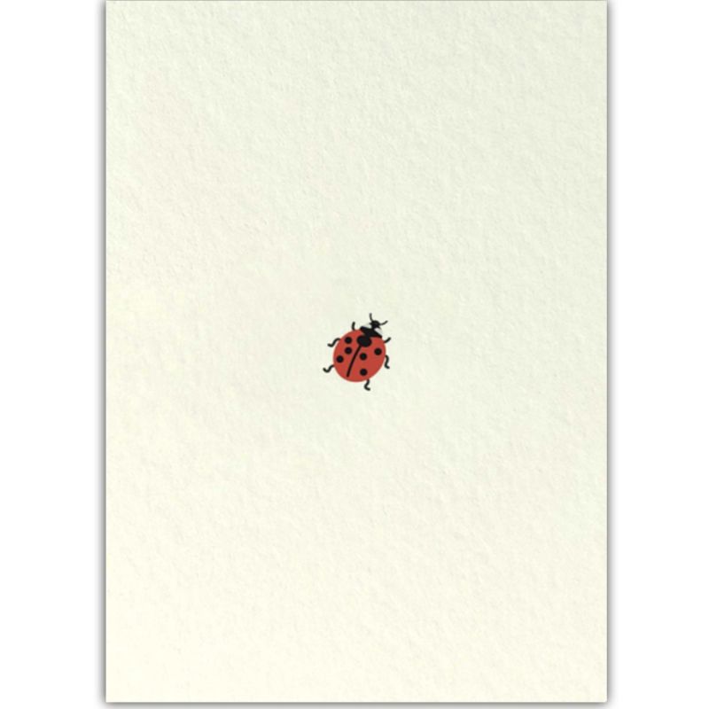 Postkaart · Lieveheersbeestje