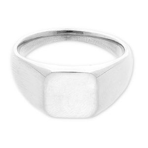 Ring stainless steel with square Zilver