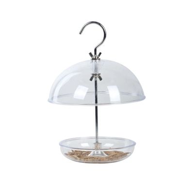 Acryl voederhuis Roodborst