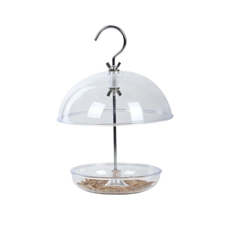 Acryl voederhuis Roodborst