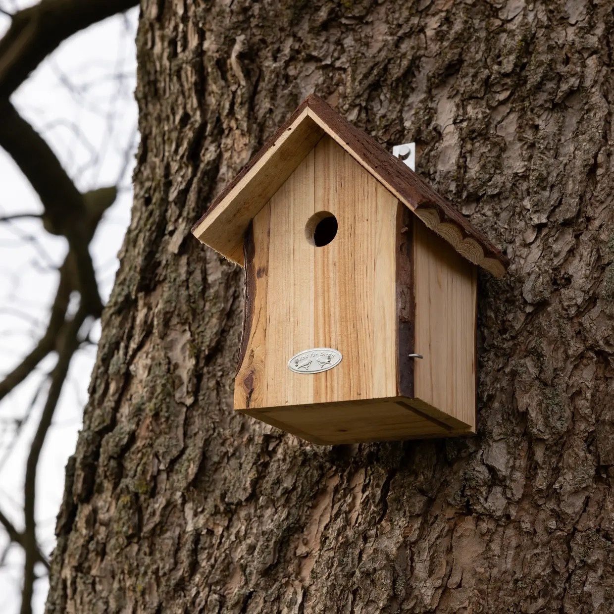 Nestkast pimpelmees boomschorsdak