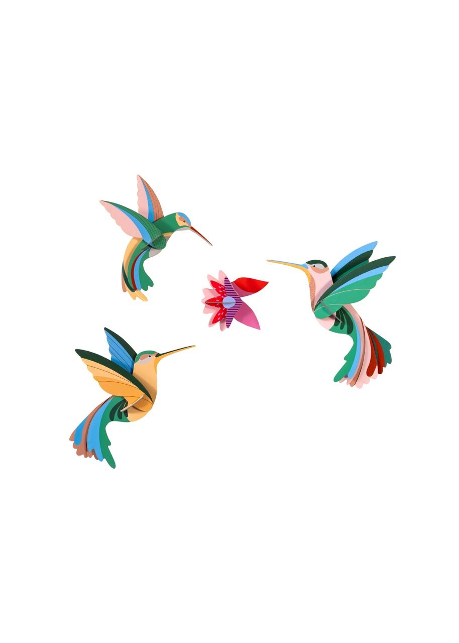 Studio ROOF · Dance of Hummingbirds