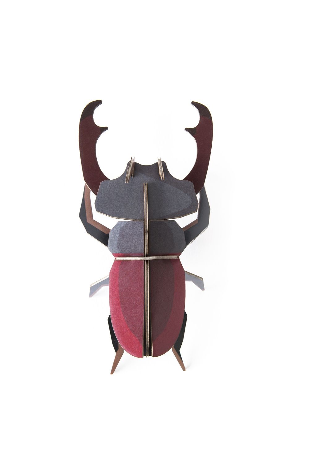 Studio ROOF · Stag Beetle