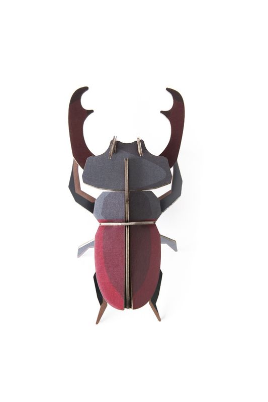 Studio ROOF · Stag Beetle
