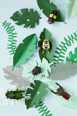 Studio ROOF · Stag Beetle