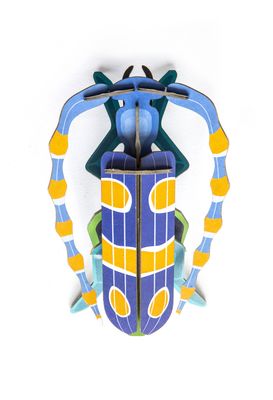 Studio ROOF · Rosalia Beetle