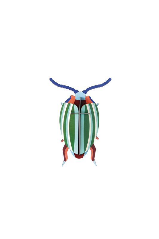 Studio ROOF · Rainbow Leaf Beetle