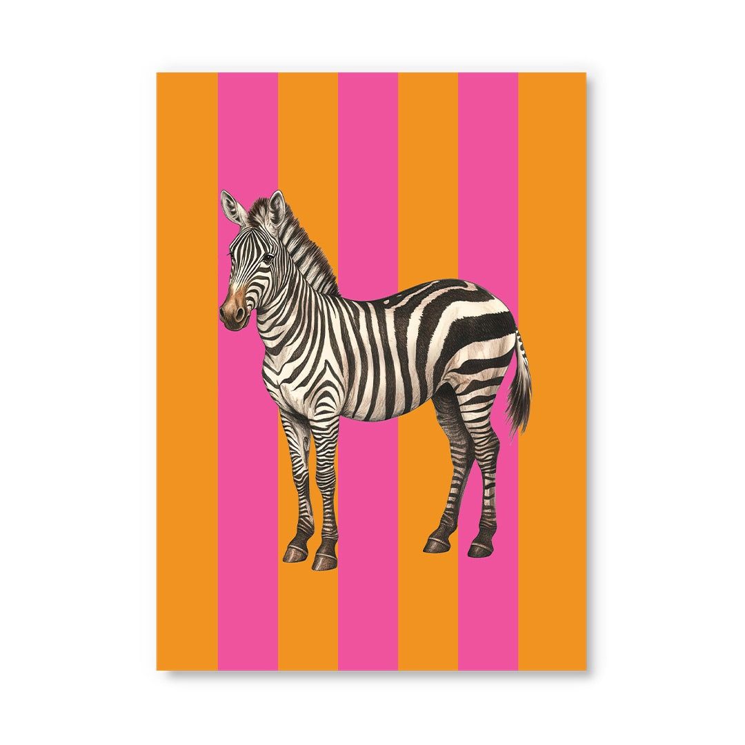 Postcard · Striped Zebra