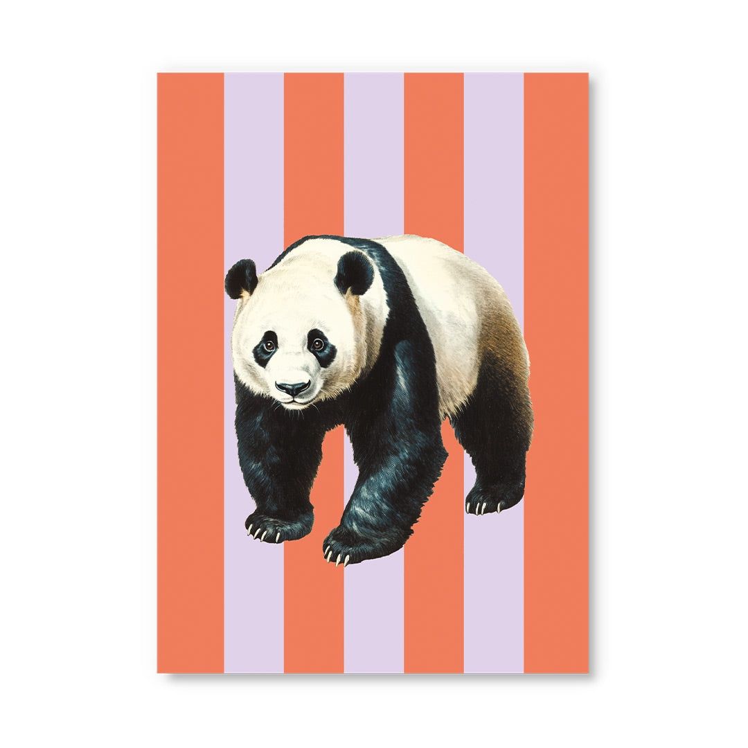 Postcard · Striped Panda