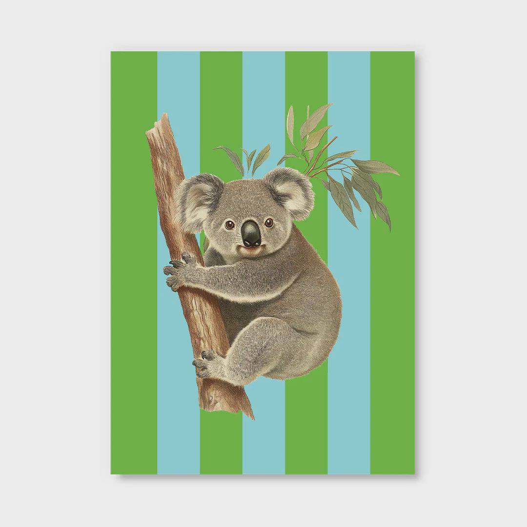 Postcard · Striped Koala