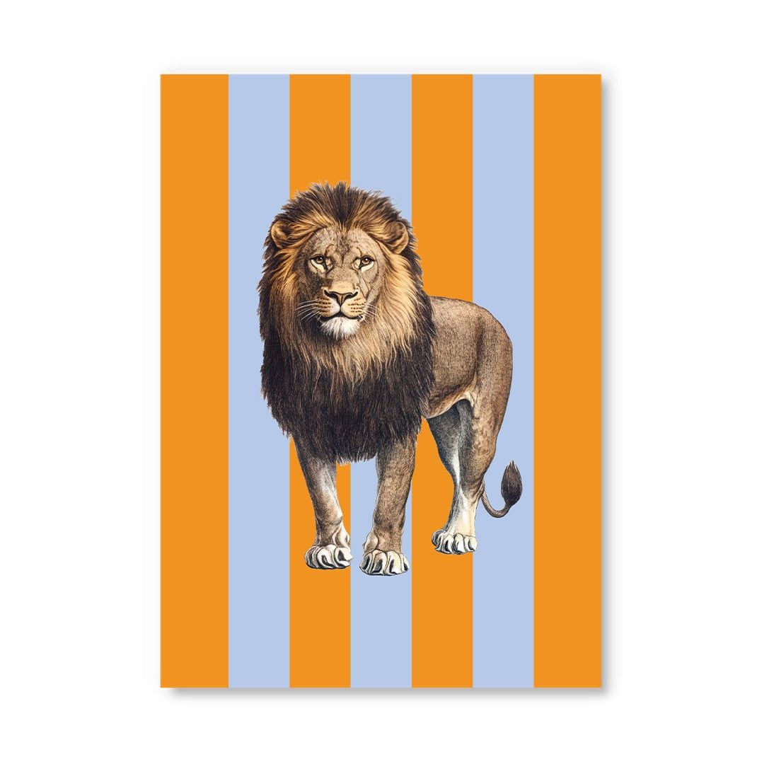 Postcard · Striped Lion