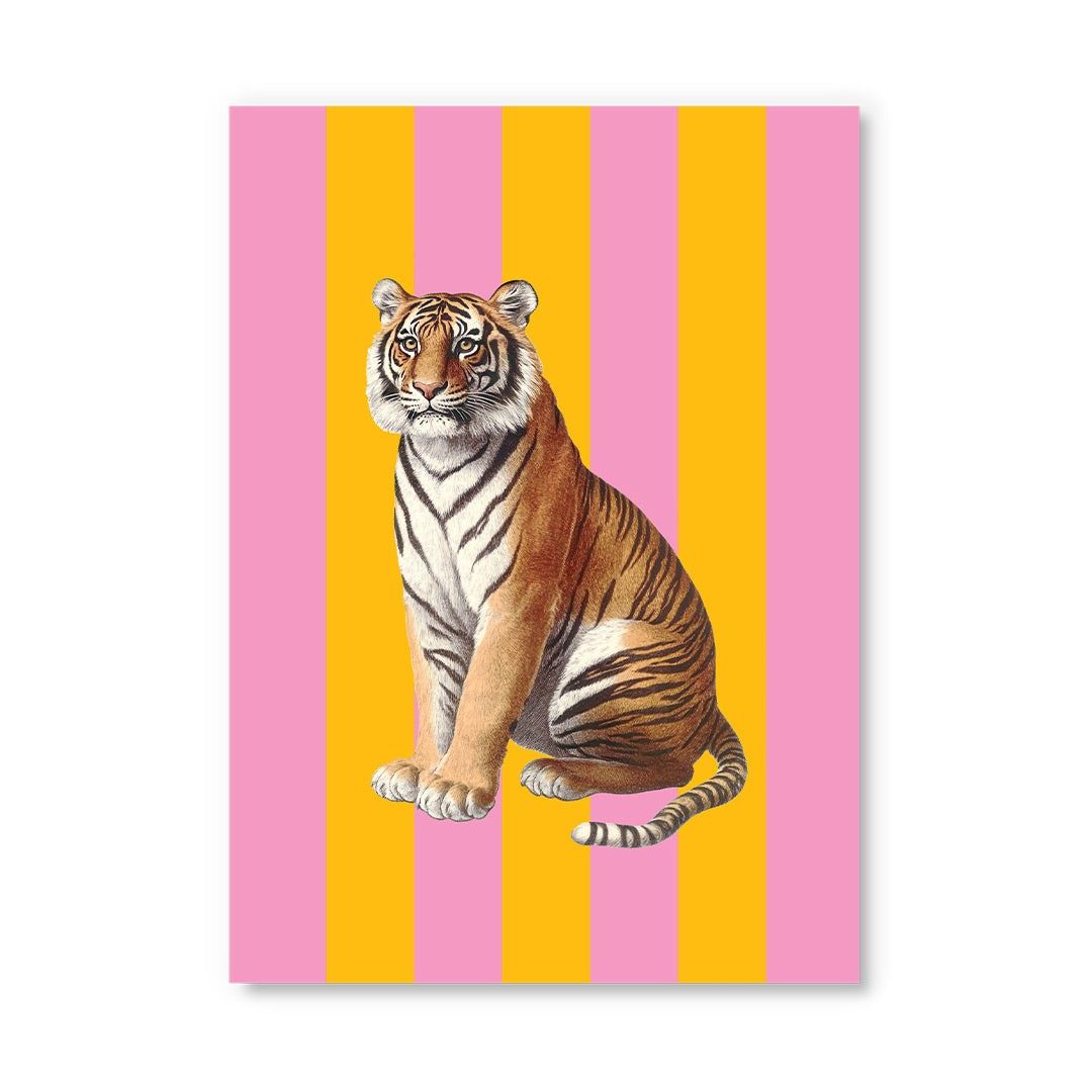 Postcard · Striped Tiger