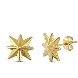 Oorbellen · ster gold 13 mm