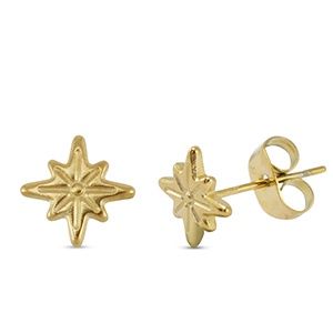 Oorbellen · ster gold 8 mm