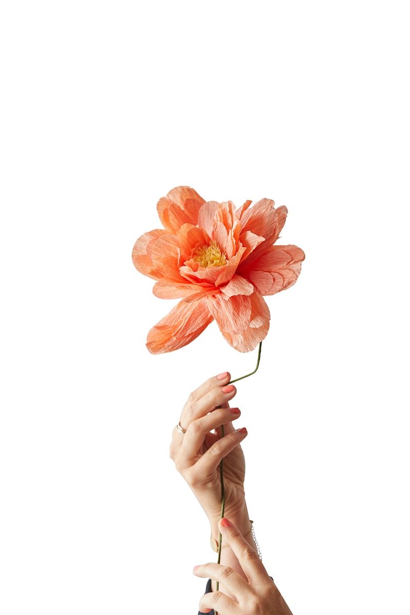 Studio About · Paper flower grand peony peach