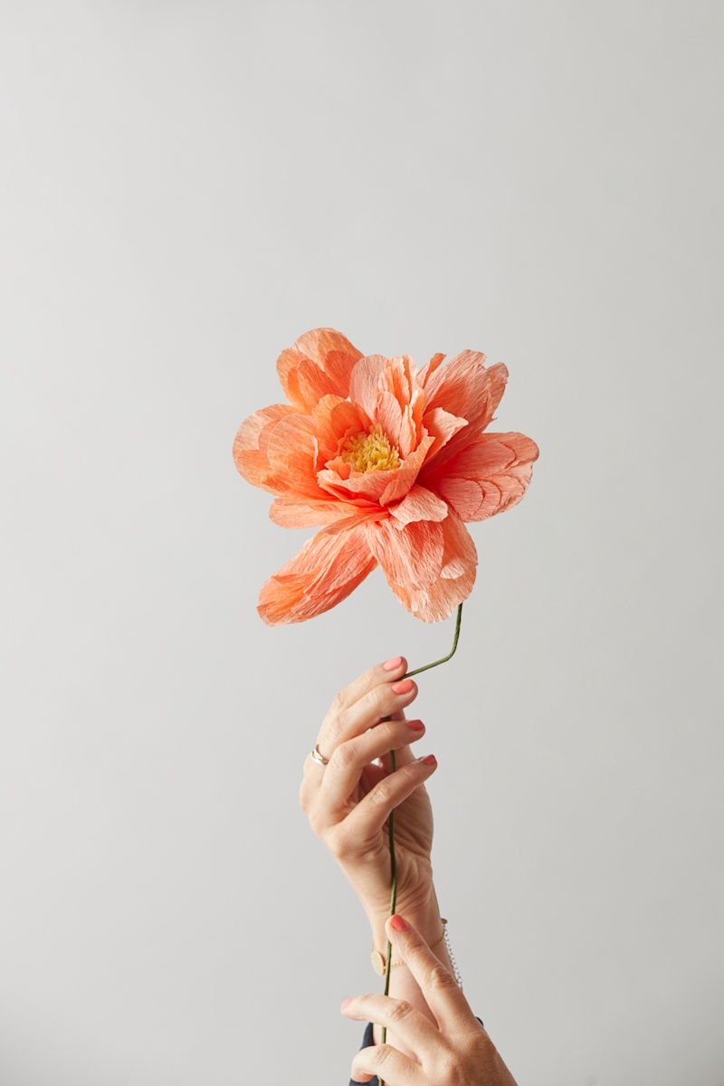 Studio About · Paper flower grand peony peach