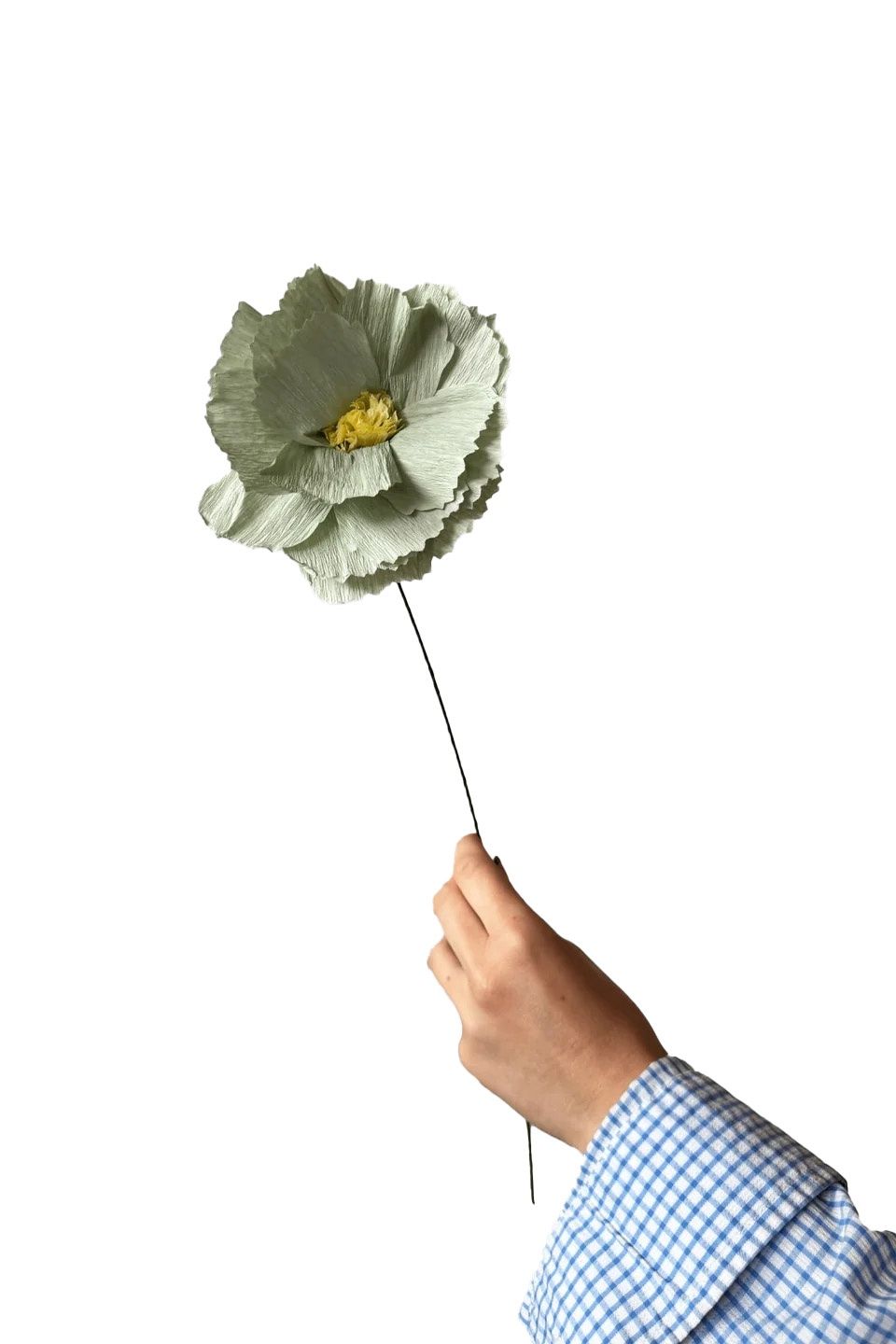 Studio About · Paper flower peony mint