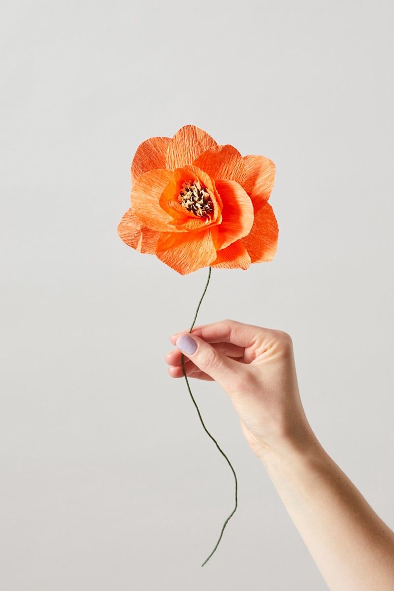 Studio About · Paper flower poppy red