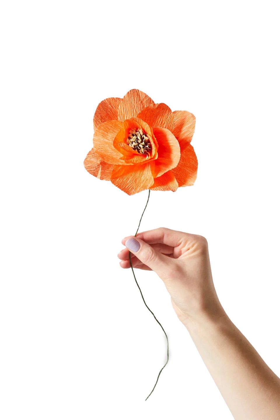 Studio About · Paper flower poppy red