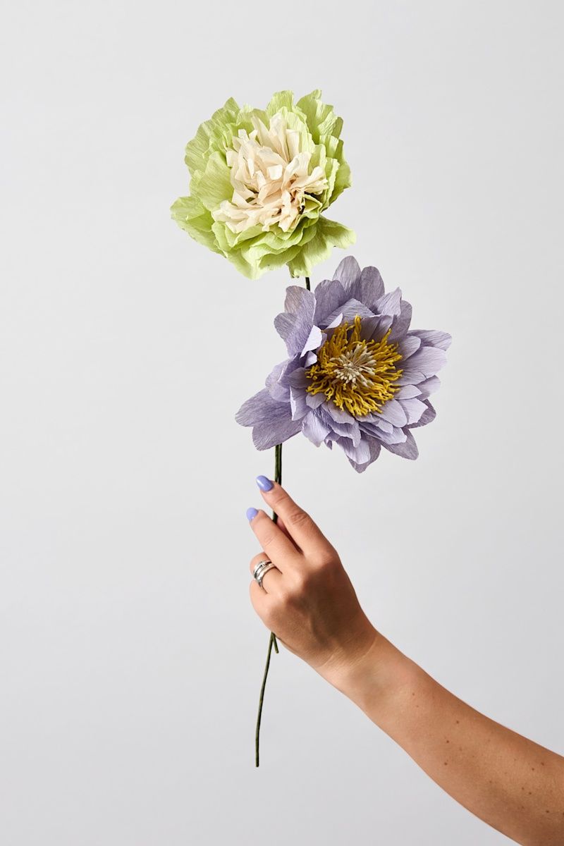 Studio about · Paper flower Cottage Rose purple