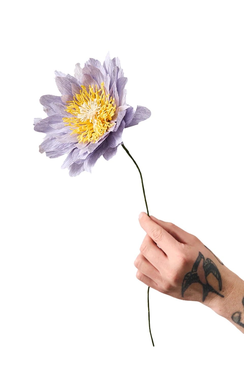 Studio about · Paper flower Cottage Rose purple