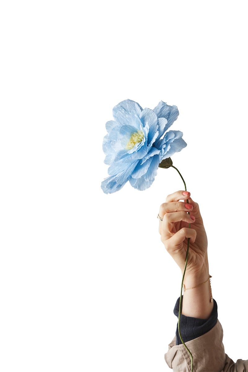 Studio About · Paper flower grand peony blue