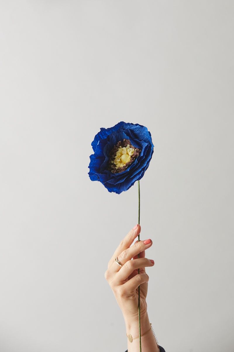 Studio About · Paper flower ice poppy blue