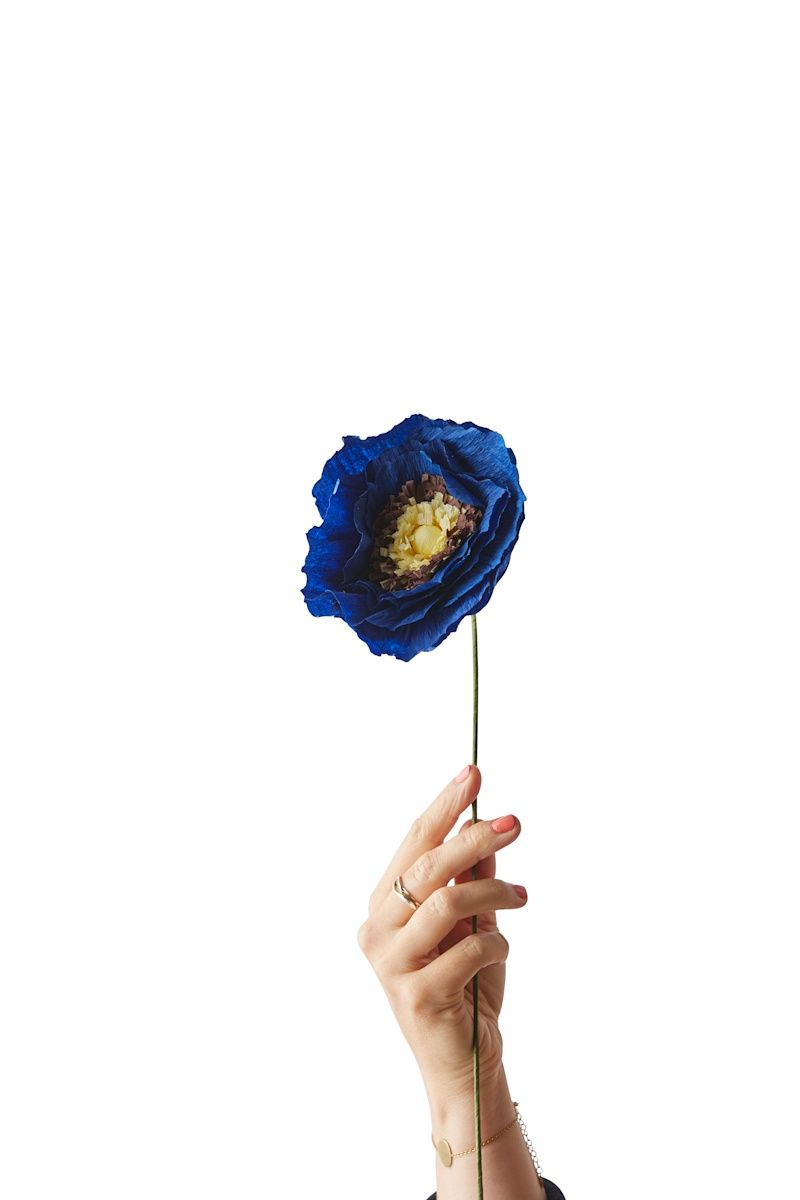 Studio About · Paper flower ice poppy blue