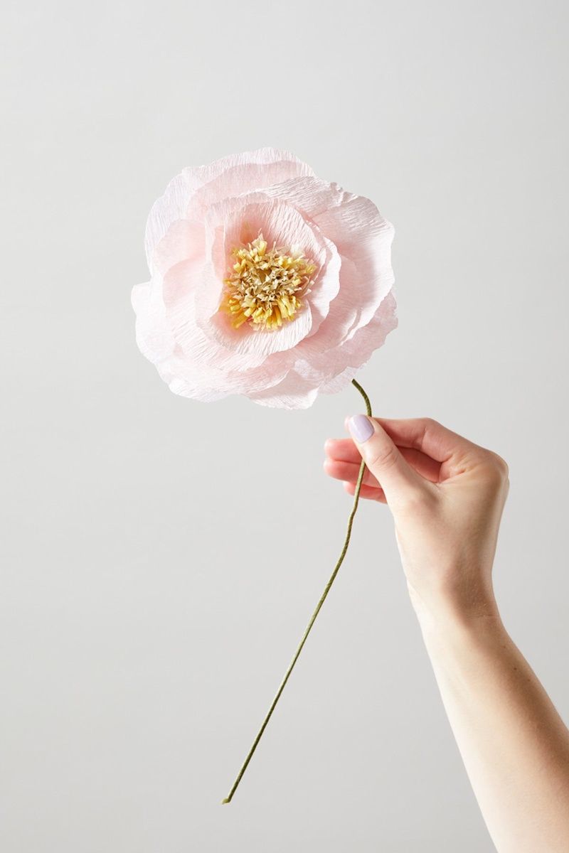 Studio About · Paper flower ice poppy rose